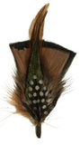 Hat feather