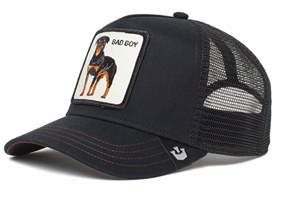 Goorin 'Baddest Boy' Trucker Style Baseball Cap in Black
