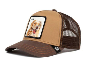 Goorin 'Loyal Dog' Trucker Style Baseball Cap in Brown
